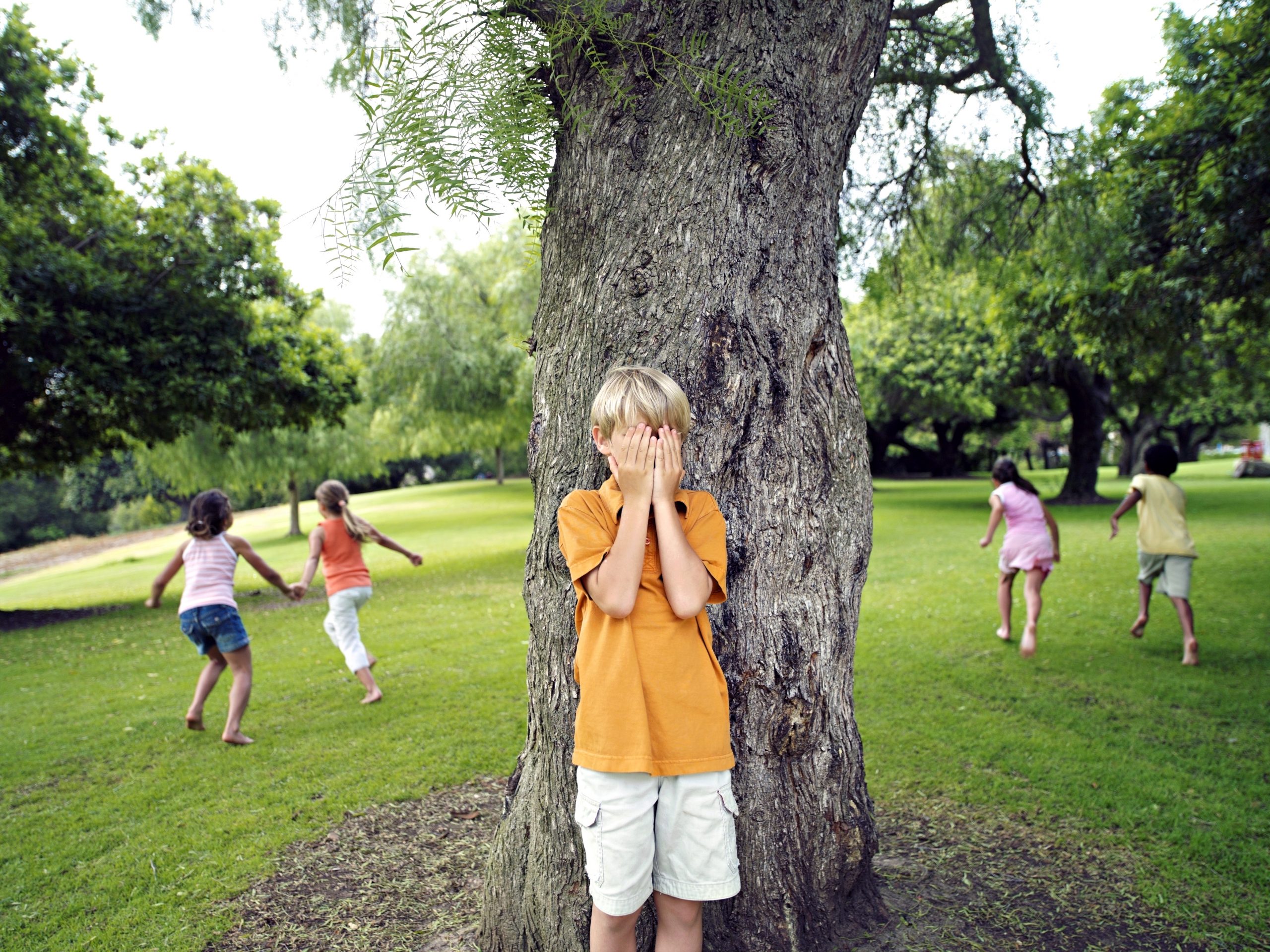 Boy (7-9) with hands covering eyes playing hide and seek in park, hiding from friends behind tree