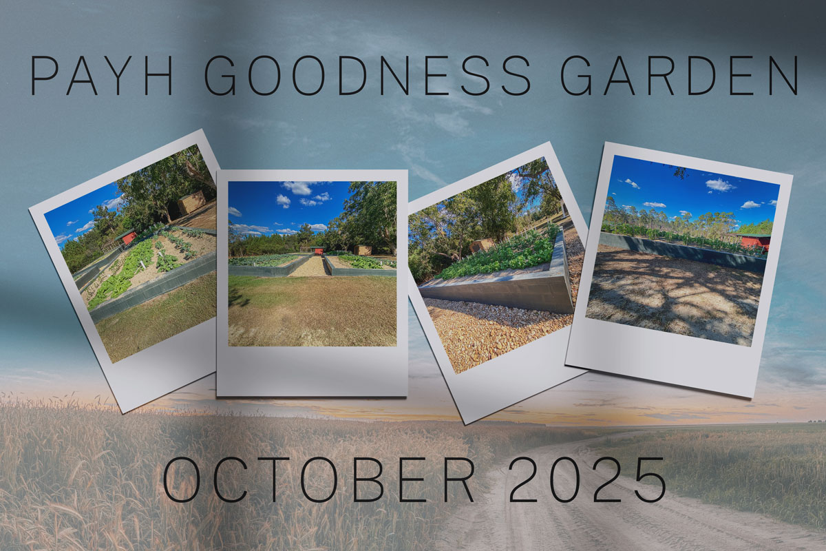 b65dc5b9-e4ac-732e-3375-ba9309e1aa6d