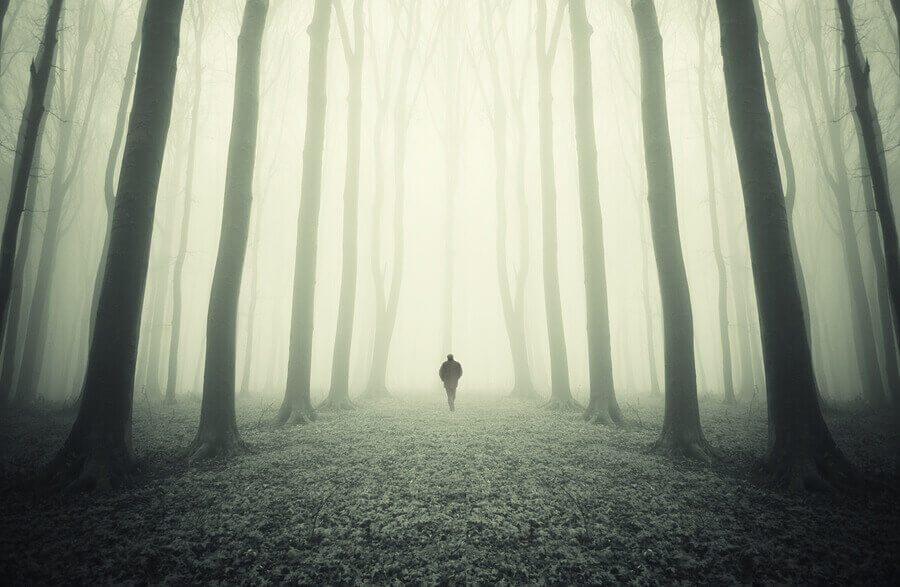Man walking in a dark surreal forest with fog