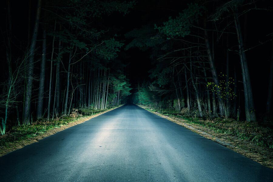 Night Road on Dark Forest
