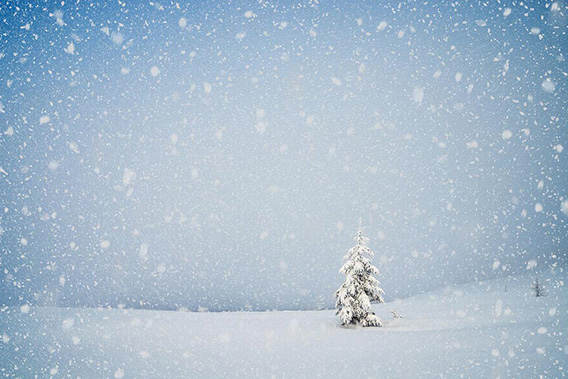 bigstock-Winter-landscape-with-snow-cov-538721